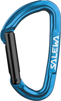 Salewa Hot G3 Straight Karabiner -